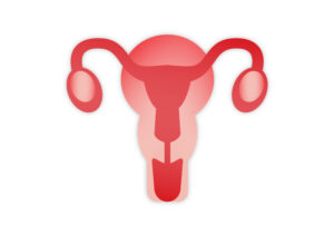 Illustration av en livmoder.